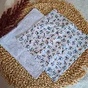 15.webp